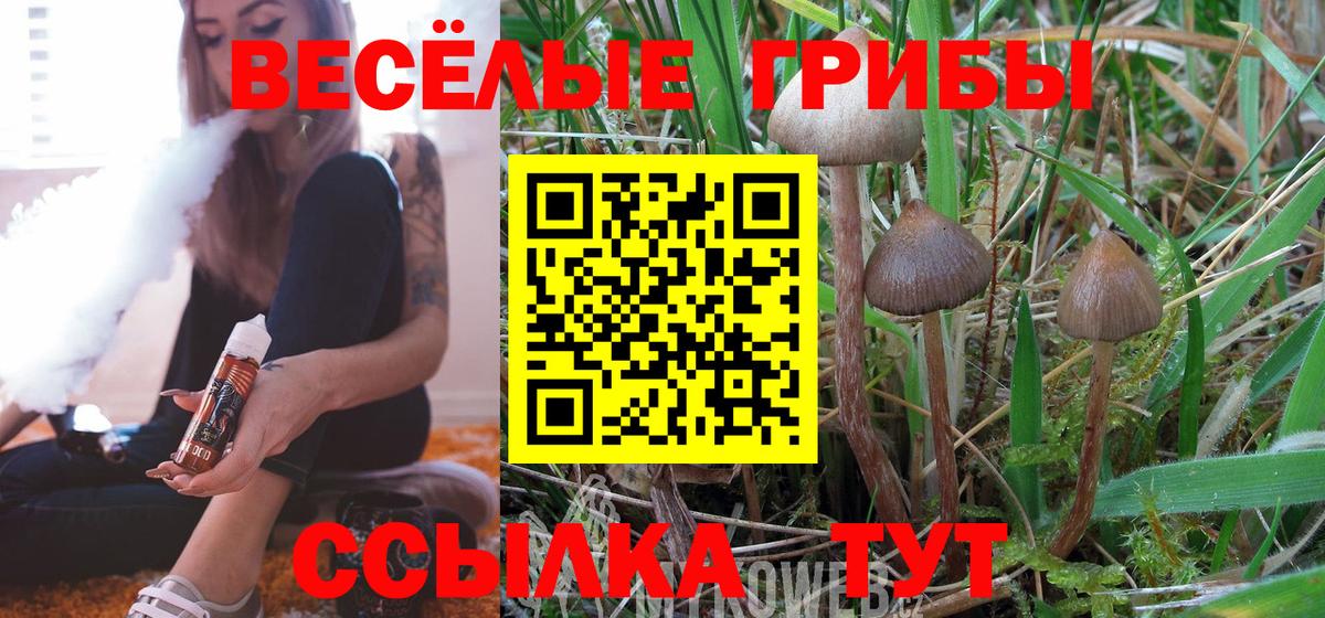 Галлюциногенные грибы прущие грибы Кирово-Чепецк